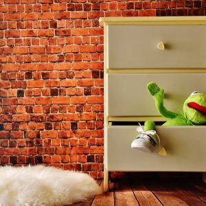 wardrobe, dresser, kermit-2012944.jpg